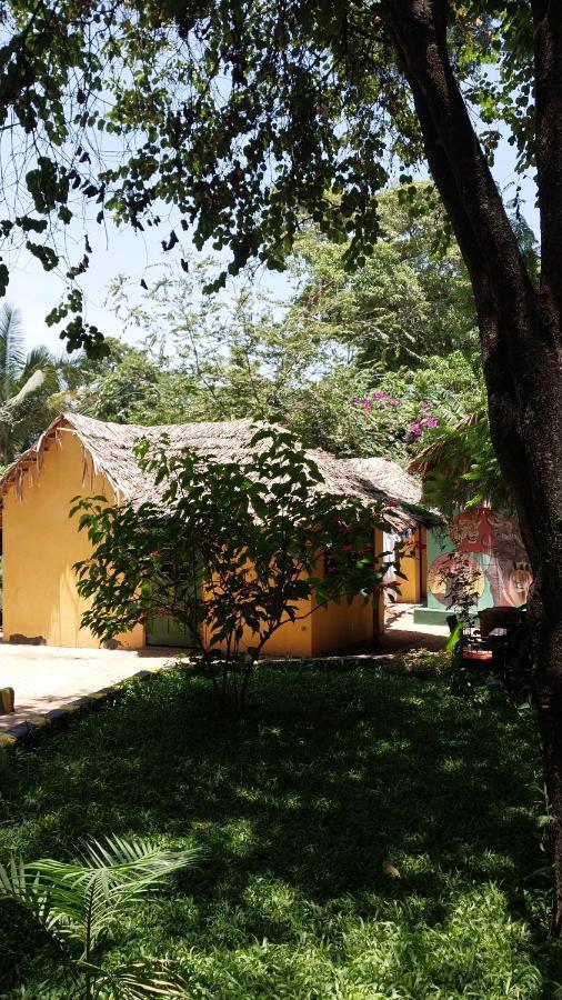 Green Garden Guest House Arusha Luaran gambar